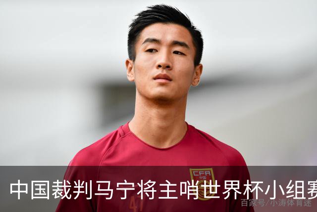 中国裁判马宁将主哨世界杯小组赛第二轮比赛